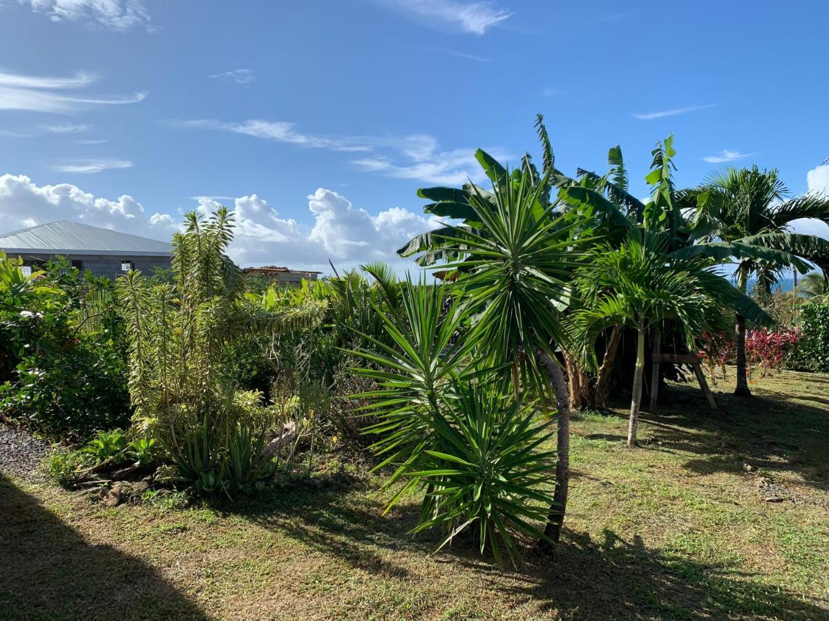 Gite Face A La Mer Des Caraibes Sainte-Rose Exterior photo
