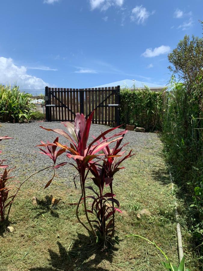 Gite Face A La Mer Des Caraibes Sainte-Rose Exterior photo